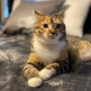 Meet your Posher, Jaime